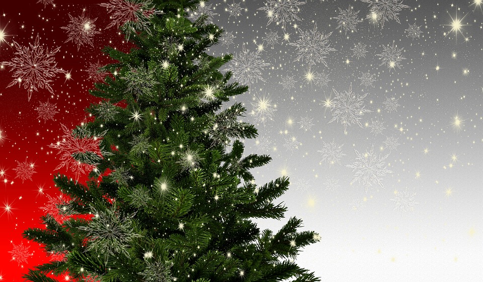 La magie de Noël: Une magie pas comme les autres