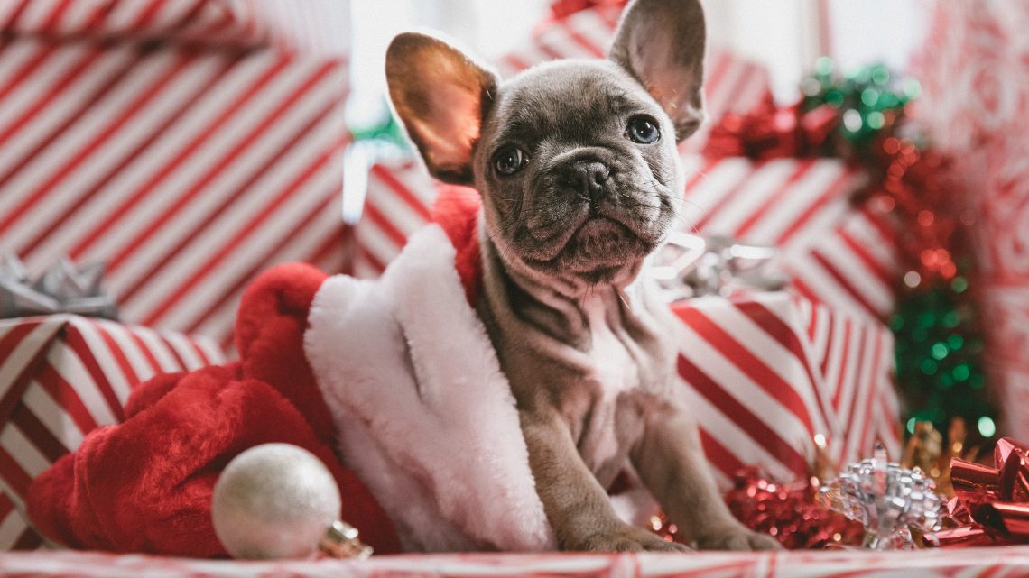 La magie de Noël: Une magie pas comme les autres