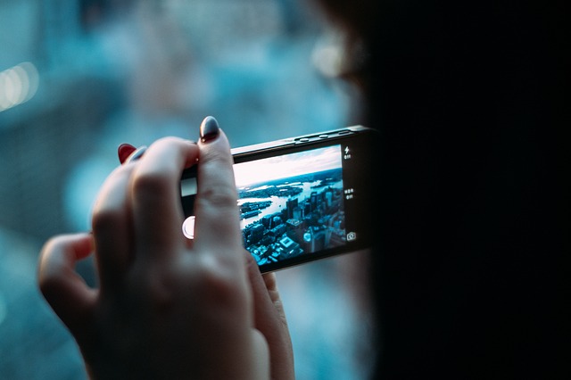 Utiliser la technologie pour prendre soin des animaux de compagnie